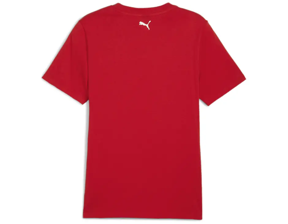 https://storage.alifshop.tj/media/images/alifshop/31456/muzhskaya-futbolka-puma-ferrari-race-graphic-tee-l-krasnyy-1741162200687.png