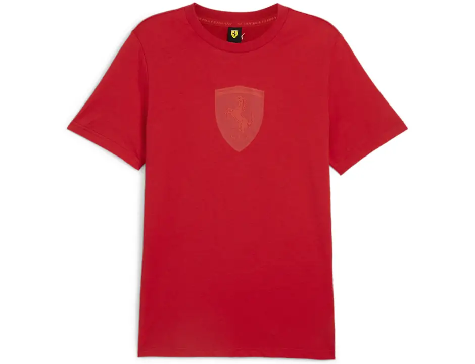 https://storage.alifshop.tj/media/images/alifshop/31457/muzhskaya-futbolka-puma-ferrari-race-graphic-tee-m-krasnyy-1741162245718.png