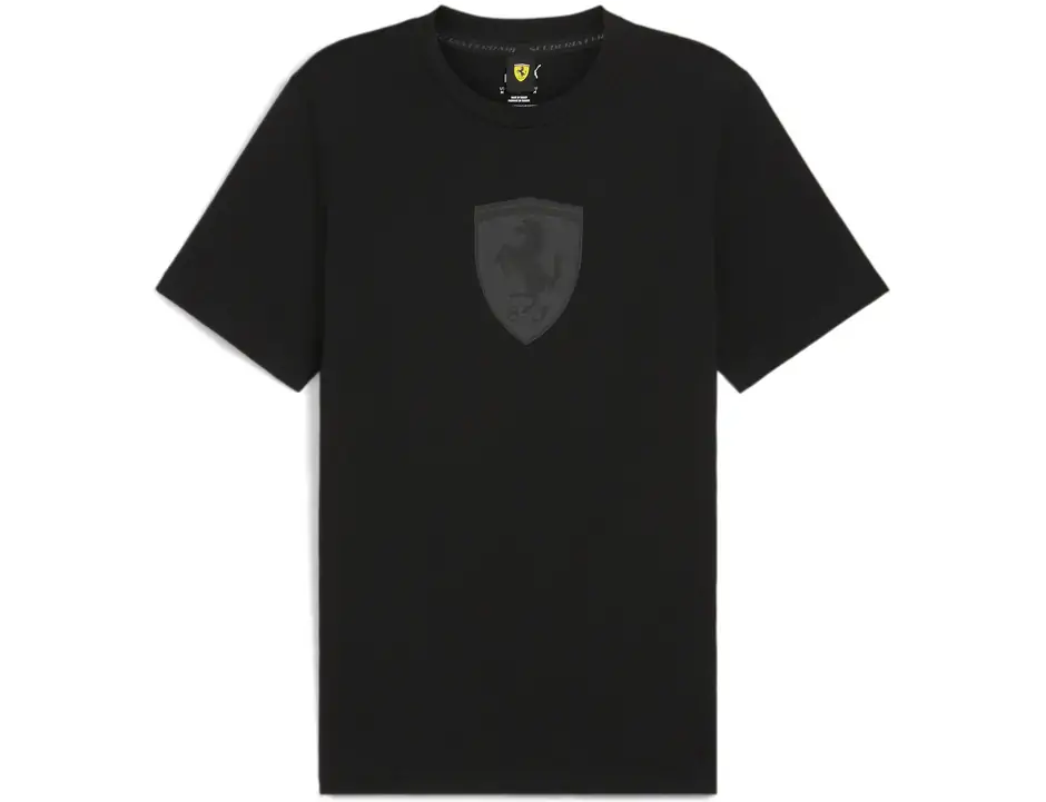 https://storage.alifshop.tj/media/images/alifshop/31461/muzhskaya-futbolka-puma-ferrari-race-graphic-tee-s-chernyy-1741162568309.png