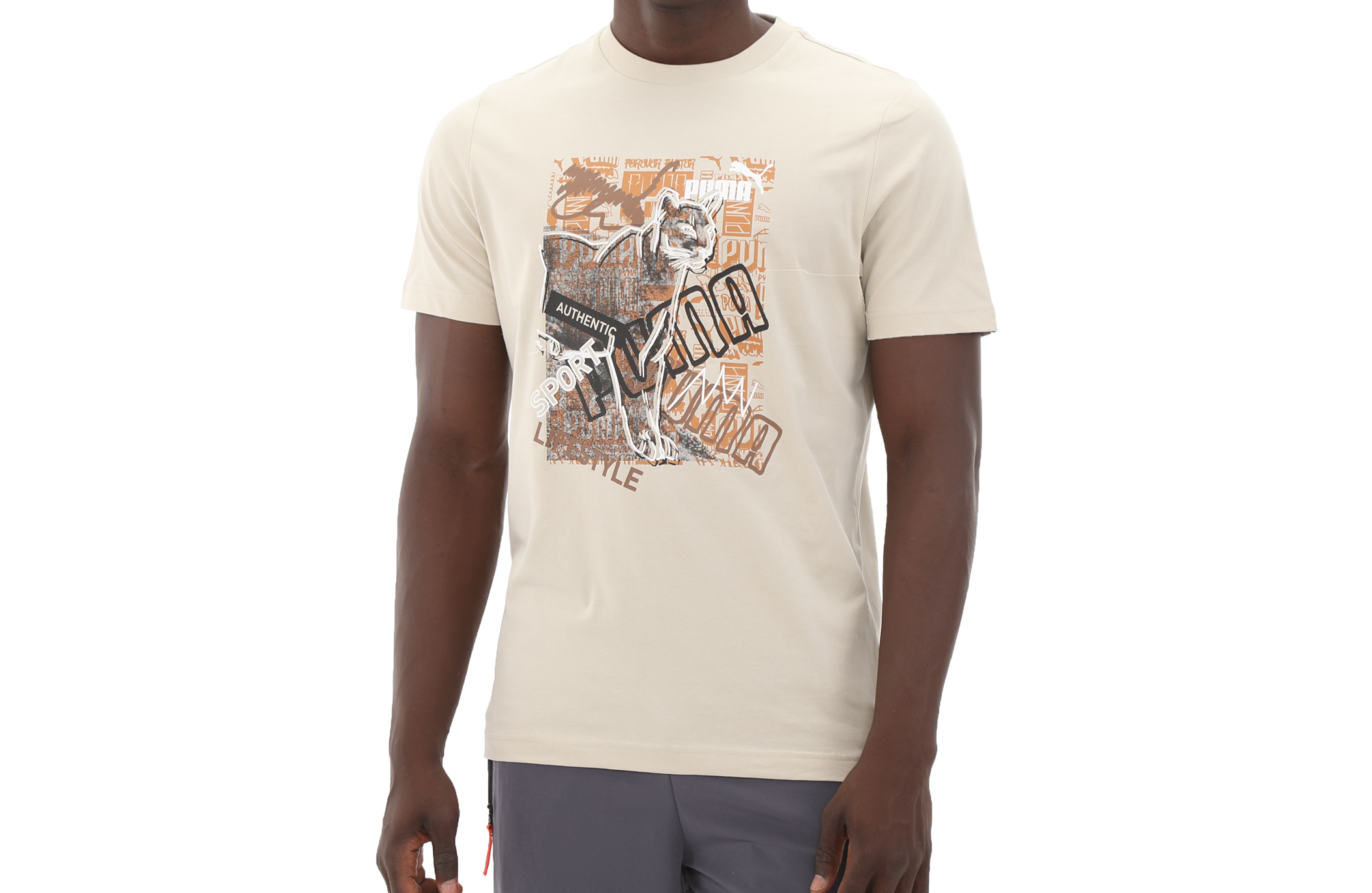 https://storage.alifshop.tj/media/images/alifshop/31602/muzhskaya-futbolka-puma-graphics-photoprint-tee-m-bezhevyy-1741239256567.png
