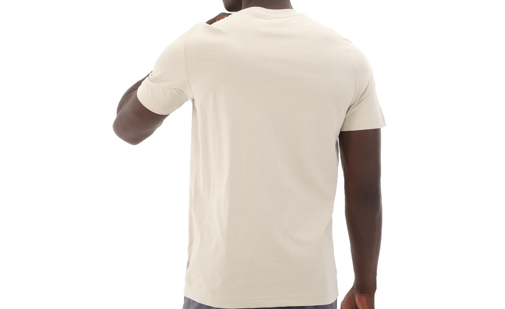 https://storage.alifshop.tj/media/images/alifshop/31602/muzhskaya-futbolka-puma-graphics-photoprint-tee-m-bezhevyy-1741239260263.png