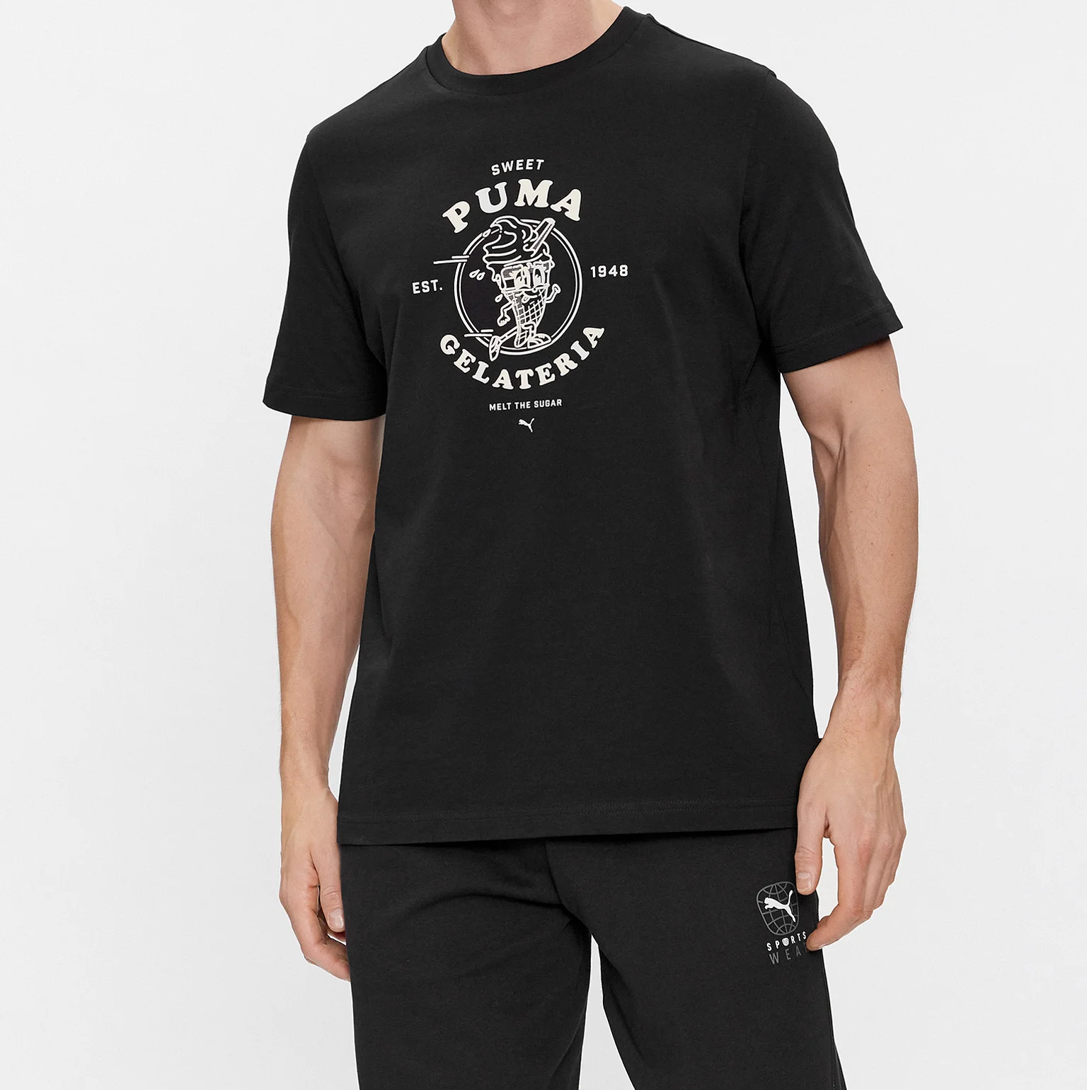 https://storage.alifshop.tj/media/images/alifshop/31614/muzhskaya-futbolka-puma-graphics-puma-gelateria-tee-xxl-chernyy-1741242180776.png
