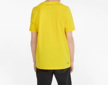Мужская футболка Puma PL Logo Tee S, желтый