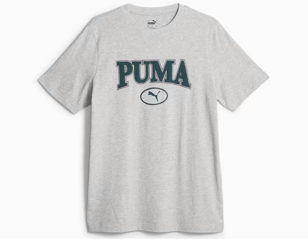 https://storage.alifshop.tj/media/images/alifshop/32087/muzhskaya-futbolka-puma-squad-tee-s-seryy-1741619035832.png