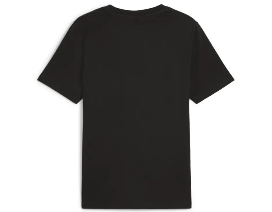 https://storage.alifshop.tj/media/images/alifshop/32094/muzhskaya-futbolka-puma-team-graphic-tee-m-chernaya-1741620958659.png