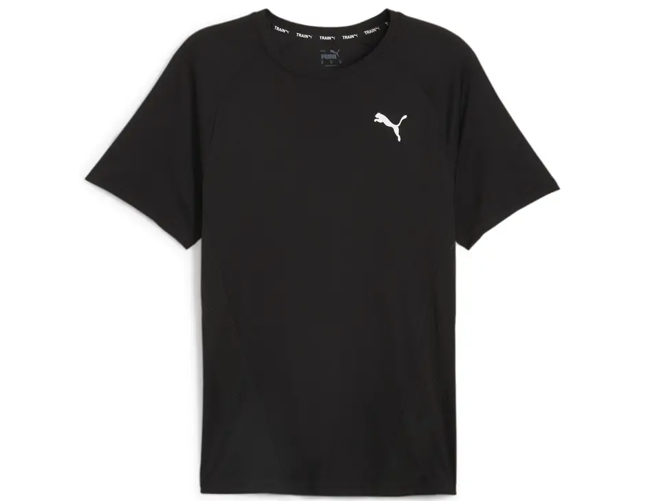 https://storage.alifshop.tj/media/images/alifshop/32148/muzhskaya-futbolka-puma-train-all-day-tee-s-chernyy-1741668962570.png