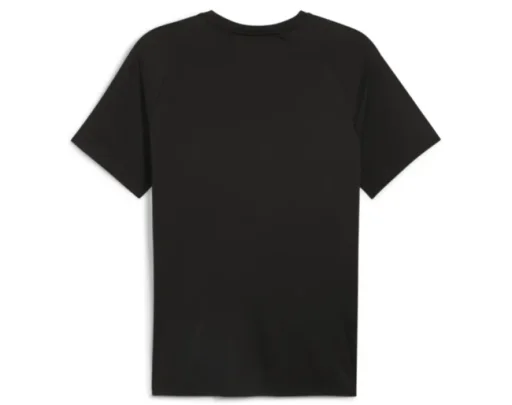 Мужская футболка Puma Train All Day Tee S, черный