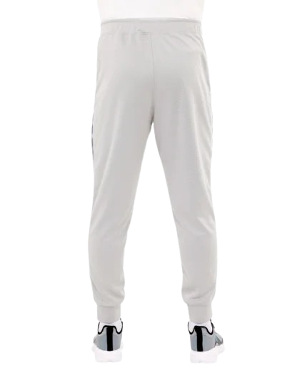 https://storage.alifshop.tj/media/images/alifshop/32377/muzhskie-shtany-rabex-training-4xl-svetlo-seryy-1759209502627.png