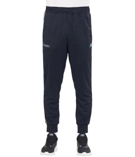 https://storage.alifshop.tj/media/images/alifshop/32385/muzhskie-shtany-rabex-training-l-chernyy-1759209779747-xl.webp