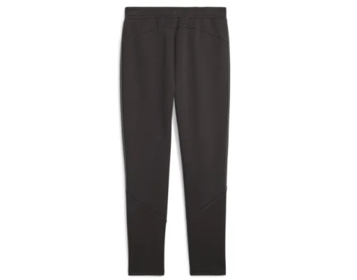 Мужские спортивные штаны Puma EVOSTRIPE Pants DK M, черный  
