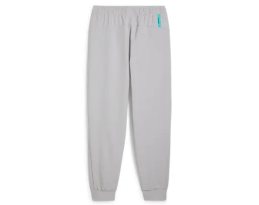 Мужские спортивные штаны Puma Mapf1 Pumatech XXL, серый   