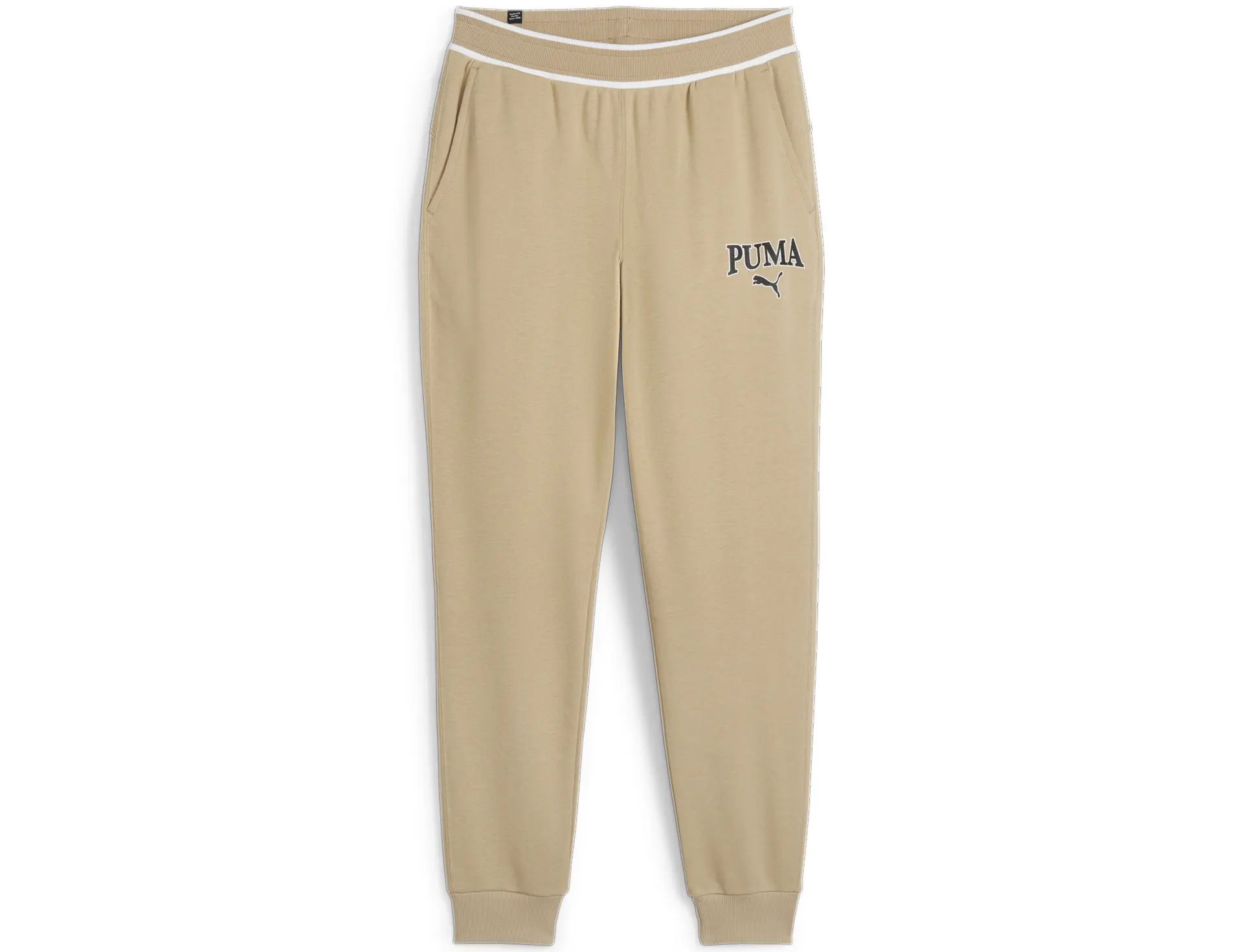 https://storage.alifshop.tj/media/images/alifshop/33255/muzhskie-sportivnye-shtany-puma-squad-sweatpants-tr-cl-xl-bezhevyy-1742204836385.png
