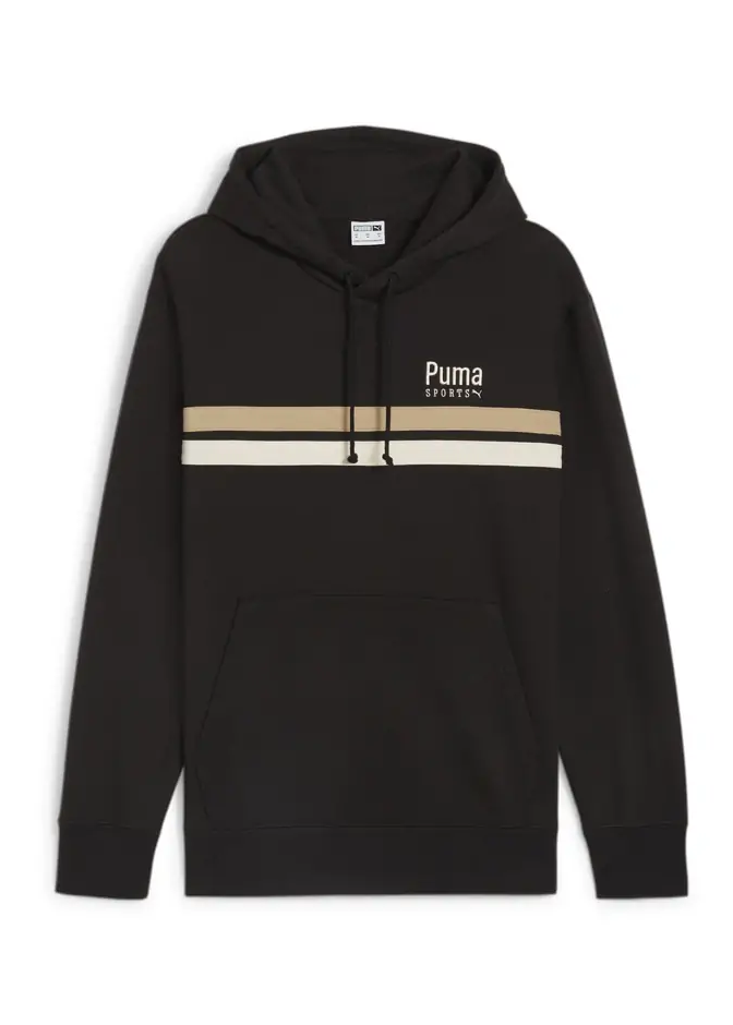 https://storage.alifshop.tj/media/images/alifshop/33264/hudi-puma-team-hoodie-tr-chernyy-651-1742207366181.png