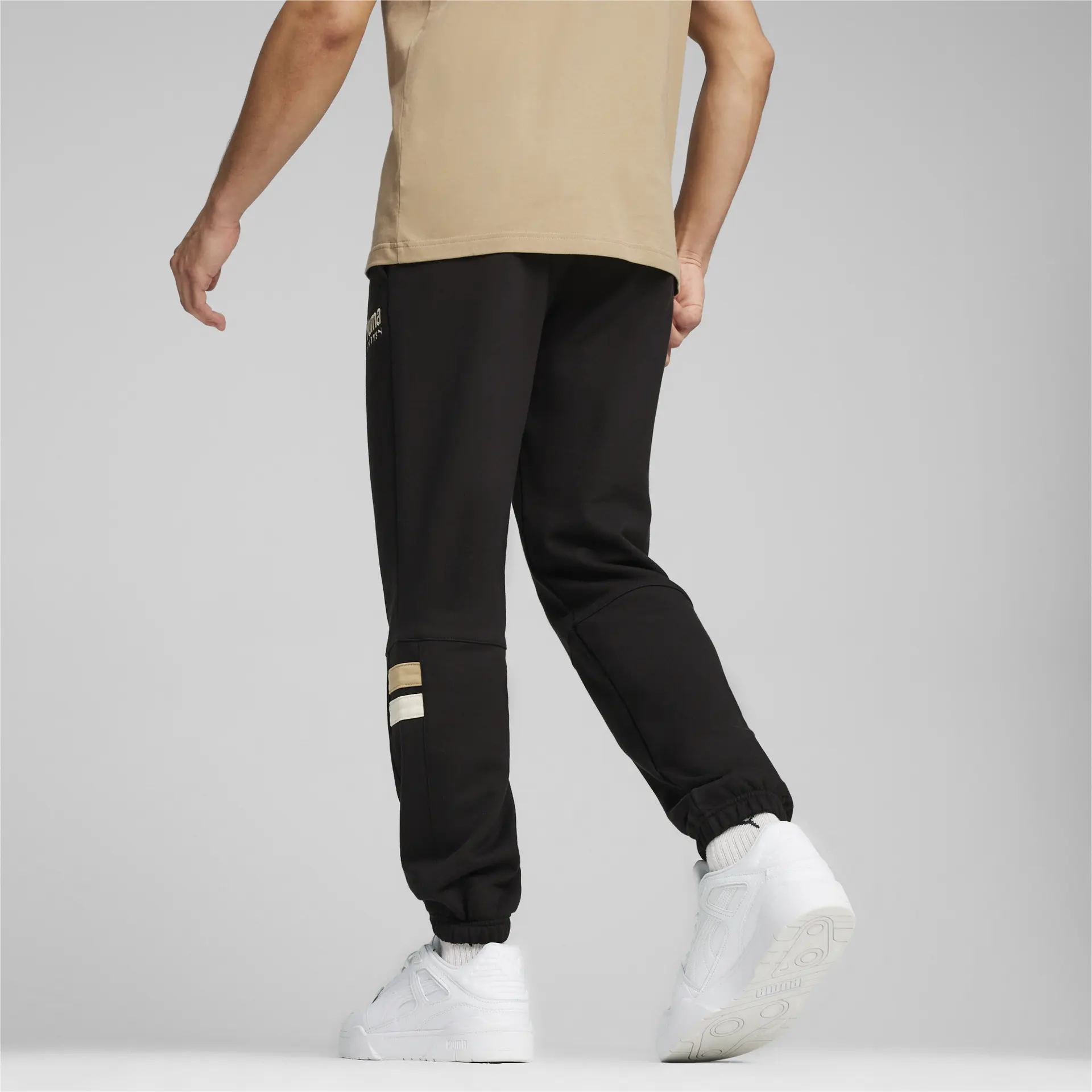 https://storage.alifshop.tj/media/images/alifshop/33399/muzhskie-sportivnye-shtany-puma-team-sweatpants-tr-l-chernyy-1742279095898.png