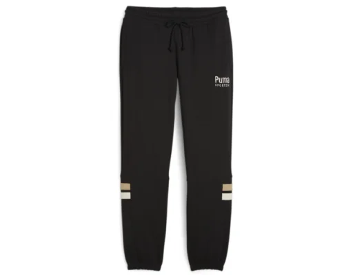Мужские спортивные штаны Puma Team Sweatpants Tr S, черный  