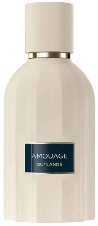 https://storage.alifshop.tj/media/images/alifshop/34241/parfyumernaya-voda-amouage-outlands-100-ml-1743580691742.png