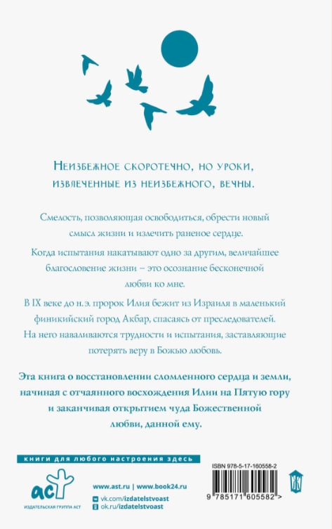 https://storage.alifshop.tj/media/images/alifshop/35332/koelo-paulo-pyataya-gora-1744973081748.jpg