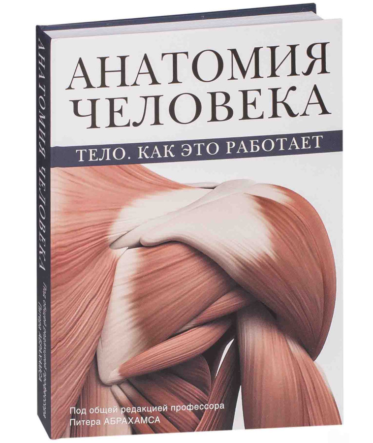 https://storage.alifshop.tj/media/images/alifshop/35408/piter-abrahams-anatomiya-cheloveka-telo-kak-eto-rabotaet-1745235629284.png