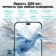 https://storage.alifshop.tj/media/images/alifshop/35949/honor-400-lite-8-256-gb-serebristyy-1754033590534-xs.webp