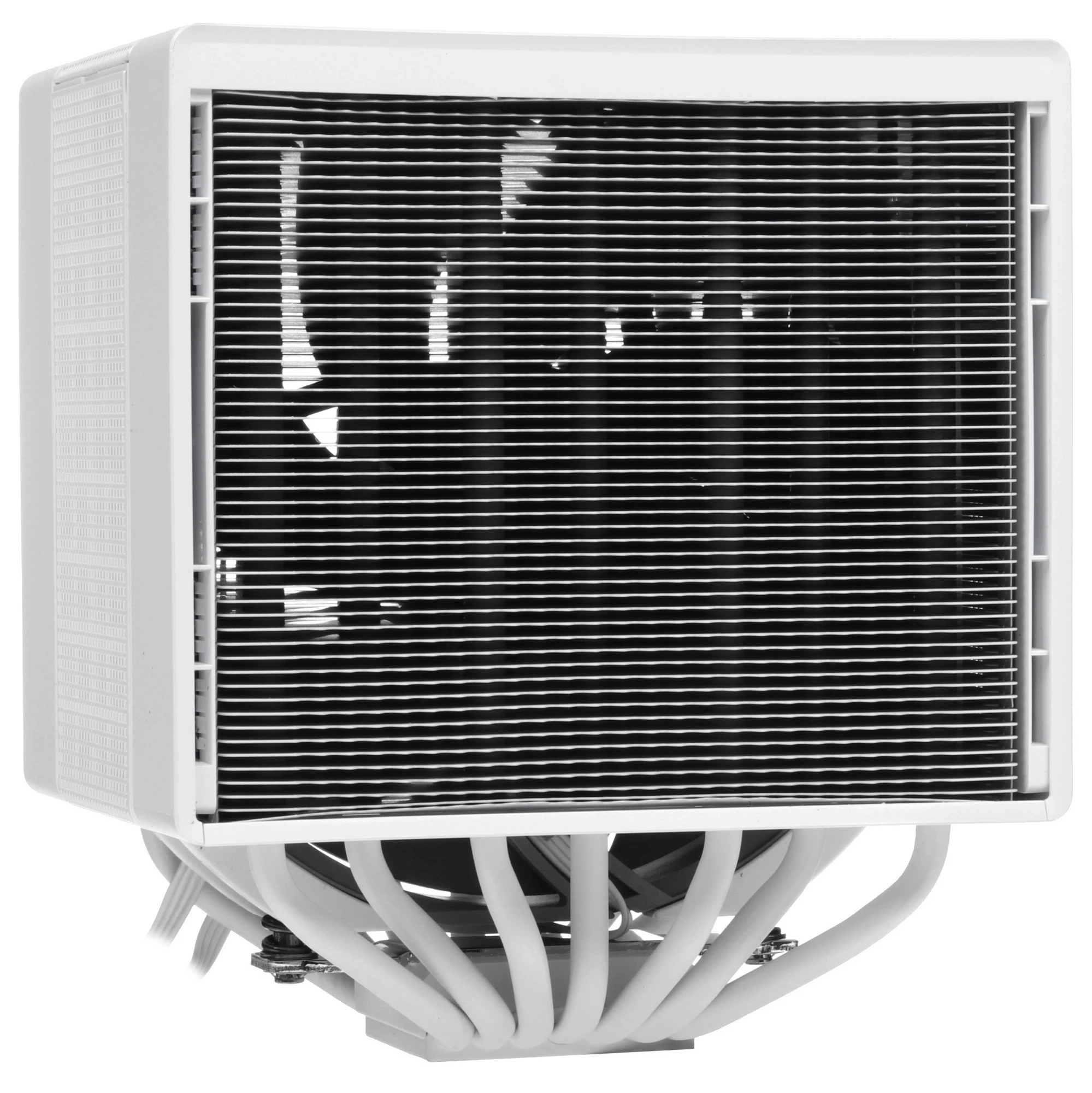 https://storage.alifshop.tj/media/images/alifshop/36359/kuler-dlya-processora-deepcool-assassin-4s-belyy-1747824419459.webp