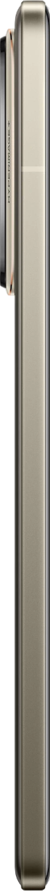 https://storage.alifshop.tj/media/images/alifshop/36541/realme-gt7-pro-12-512-gb-seryy-1754468713493.png