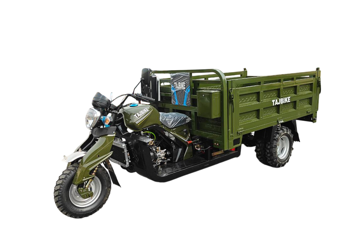 https://storage.alifshop.tj/media/images/alifshop/36562/elektroskuter-s-telezhkoy-temno-zelenyy-1748331953172.png