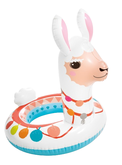 https://storage.alifshop.tj/media/images/alifshop/39481/naduvnoy-krug-dlya-plavaniya-intex-59221-58-sm-4275-1751877402959.png