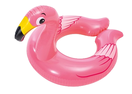 https://storage.alifshop.tj/media/images/alifshop/39482/naduvnoy-krug-dlya-plavaniya-intex-59220-55-sm-1751877455994.png