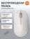 https://storage.alifshop.tj/media/images/alifshop/39716/besprovodnaya-mysh-xiaomi-mi-wireless-mouse-lite-3-belyy-1752753763923-xs.webp