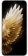https://storage.alifshop.tj/media/images/alifshop/39768/tecno-spark-40-pro-8-256-gb-serebristyy-1753252916254-xs.webp