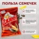 https://storage.alifshop.tj/media/images/alifshop/41384/semechki-dzhinn-solnechnyy-velikan-polosatye-podsolnechnye-bez-soli-100-g-1759298185798-xs.webp