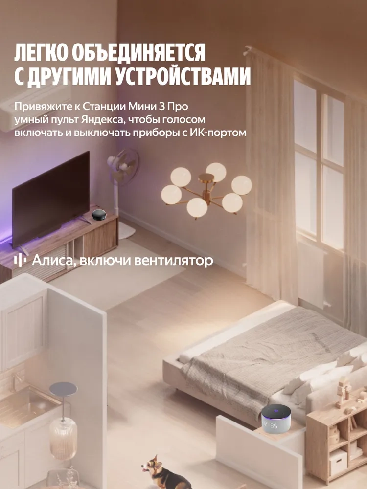 https://storage.alifshop.tj/media/images/alifshop/41419/umnaya-kolonka-yandeks-stanciya-mini-3-pro-seryy-1759385660274.webp