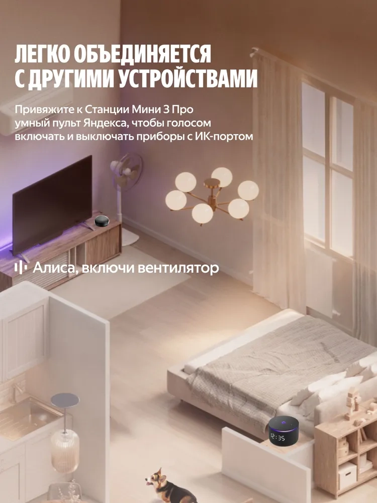 https://storage.alifshop.tj/media/images/alifshop/41422/umnaya-kolonka-yandeks-stanciya-mini-3-pro-chernyy-1759385948967.webp