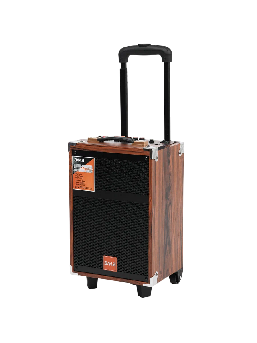 https://storage.alifshop.tj/media/images/alifshop/41617/portativnaya-kolonka-baab-b-q12-cherno-korichnevyy-1759816252994.png
