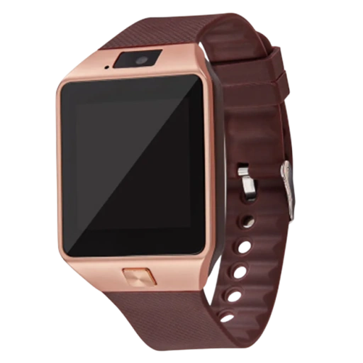 https://storage.alifshop.tj/media/images/alifshop/41618/umnye-chasy-dz09-korichnevyy-1759816350992-xl.webp