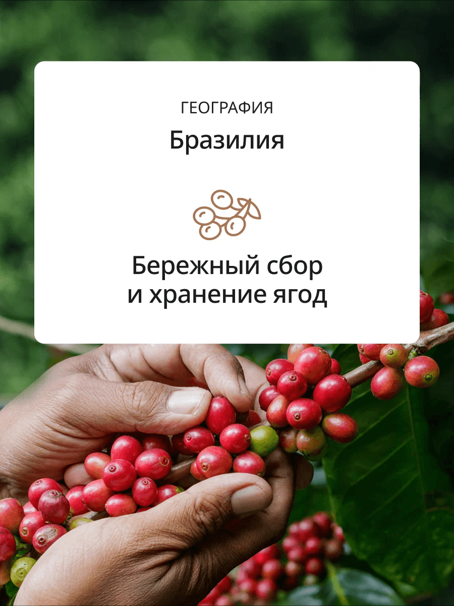 https://storage.alifshop.tj/media/images/alifshop/42995/kofe-v-zernah-delonghi-milk-selection-blend-coffee-800-gr-1762252464594.png