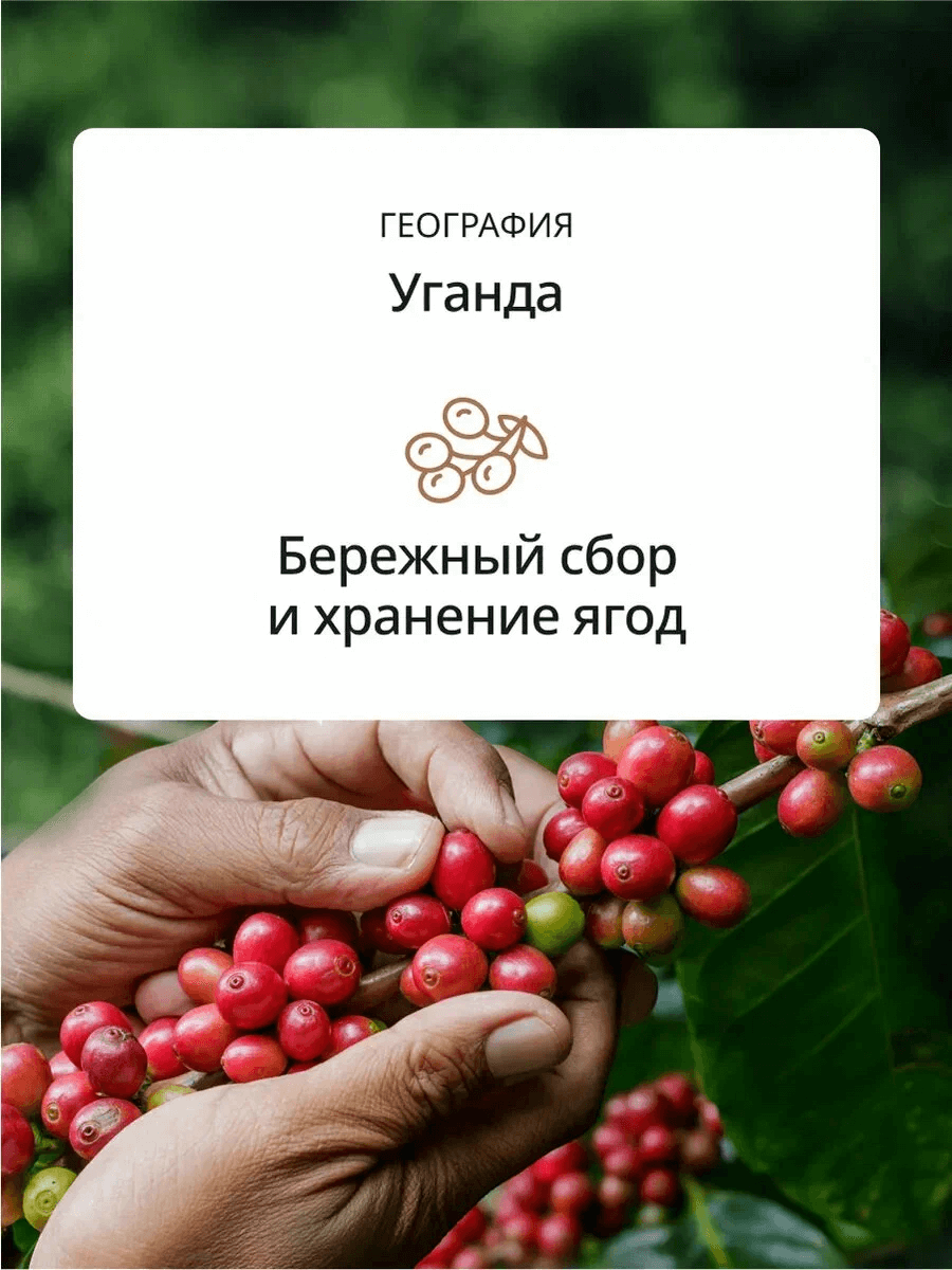 https://storage.alifshop.tj/media/images/alifshop/42997/kofe-v-zernah-delonghi-bianco-crema-800-gr-1762255548903.png