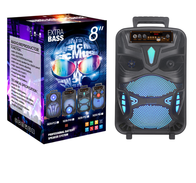 https://storage.alifshop.tj/media/images/alifshop/43185/portativnaya-kolonka-ndr-p55-chernyy-1763031419667.png
