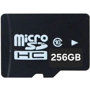 Карта памяти microSDHC Class 10, 256 GB