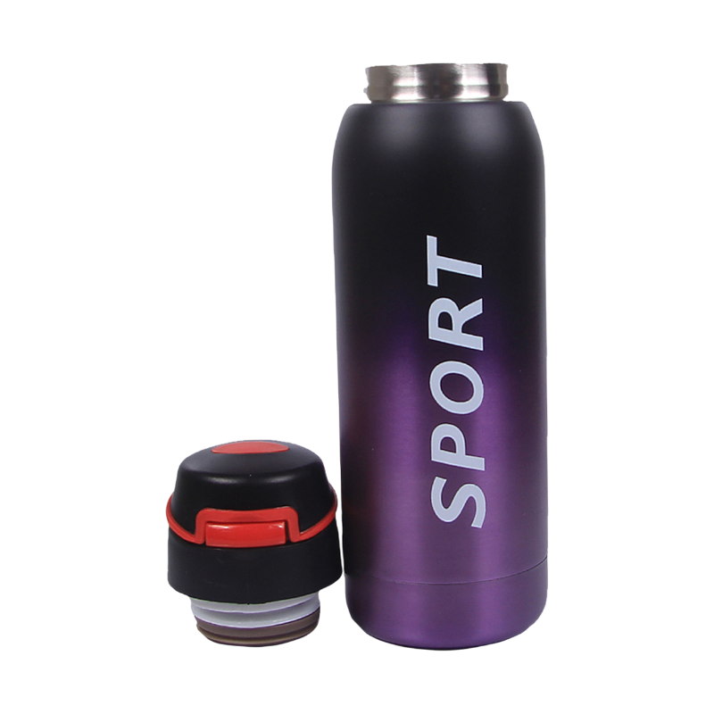 https://storage.alifshop.tj/media/images/alifshop/44644/termos-sportivnyy-sport-500-ml-fioletovyy-1764911985127.png