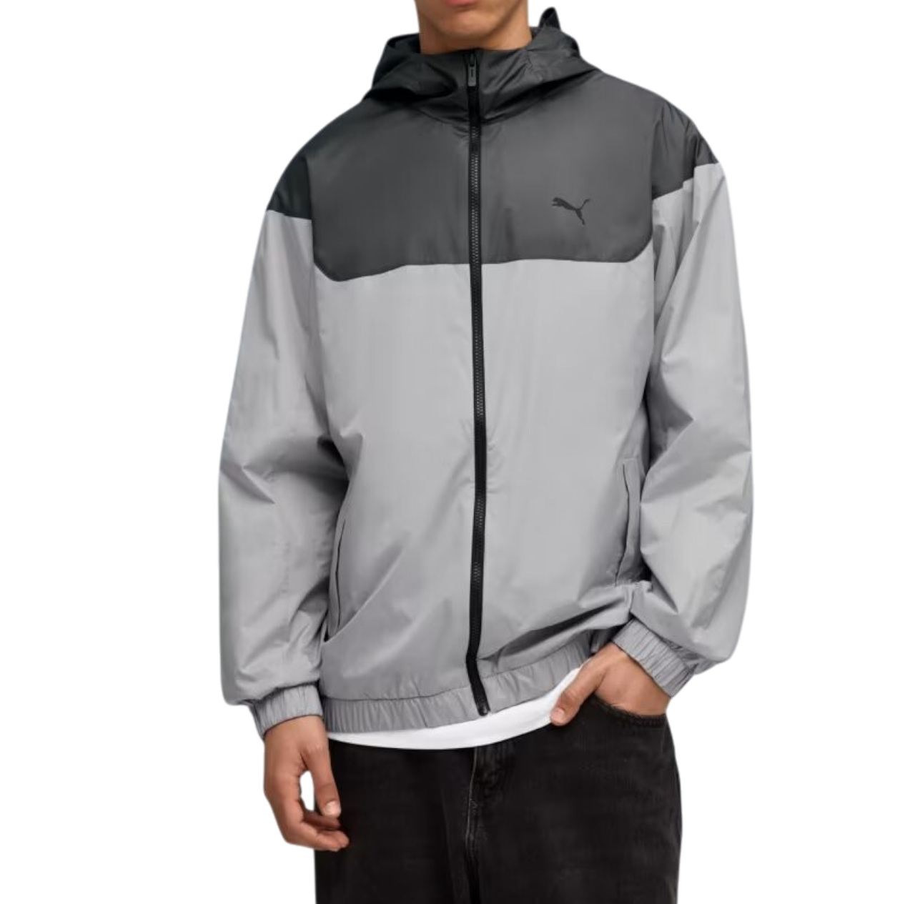https://storage.alifshop.tj/media/images/alifshop/45176/vetrovka-puma-ess-relaxed-windbreaker-684626-s-seryy-1765789761942.png