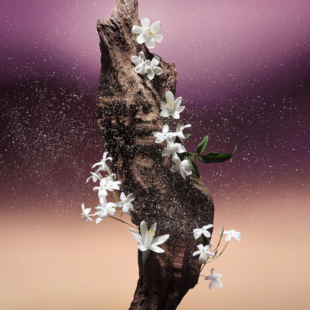 https://storage.alifshop.tj/media/images/alifshop/45291/parfyumernaya-voda-louis-vuitton-fleur-du-desert-100-ml-1765860358750.png