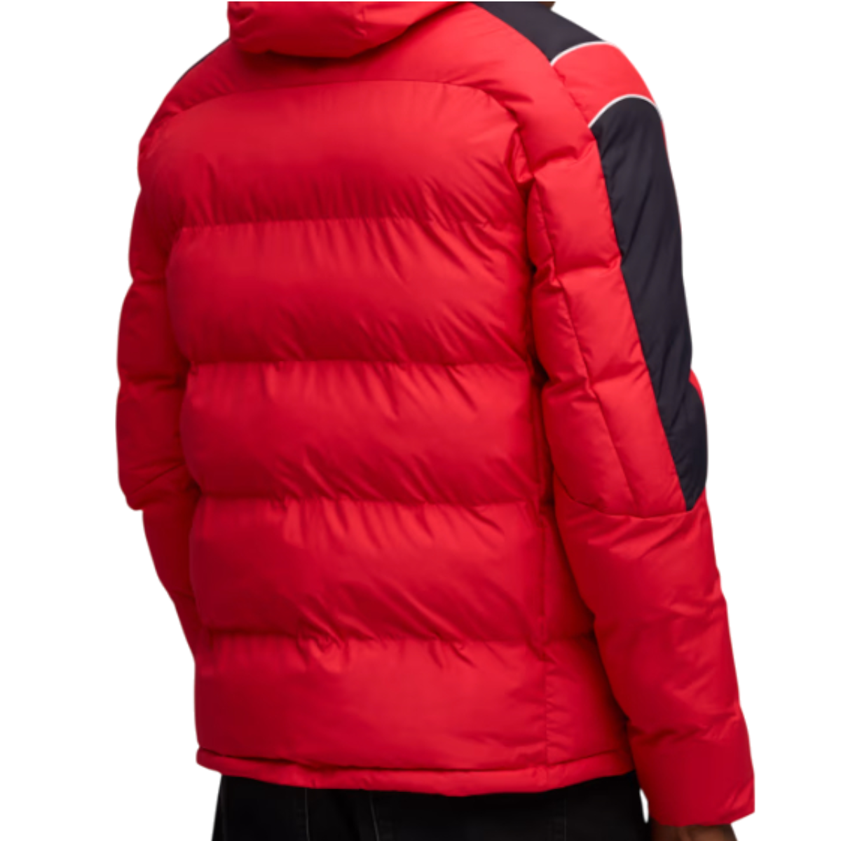 https://storage.alifshop.tj/media/images/alifshop/45866/kurtka-ferrari-mt7-ecolite-padded-jacket-632762-3xl-krasnyy-1766033416960.png