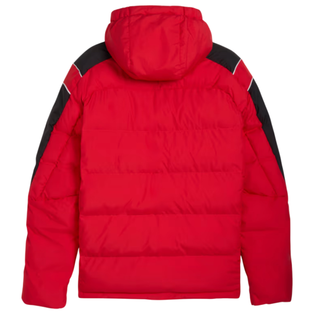 https://storage.alifshop.tj/media/images/alifshop/45868/kurtka-ferrari-mt7-ecolite-padded-jacket-632762-xxl-krasnyy-1766033458858.png