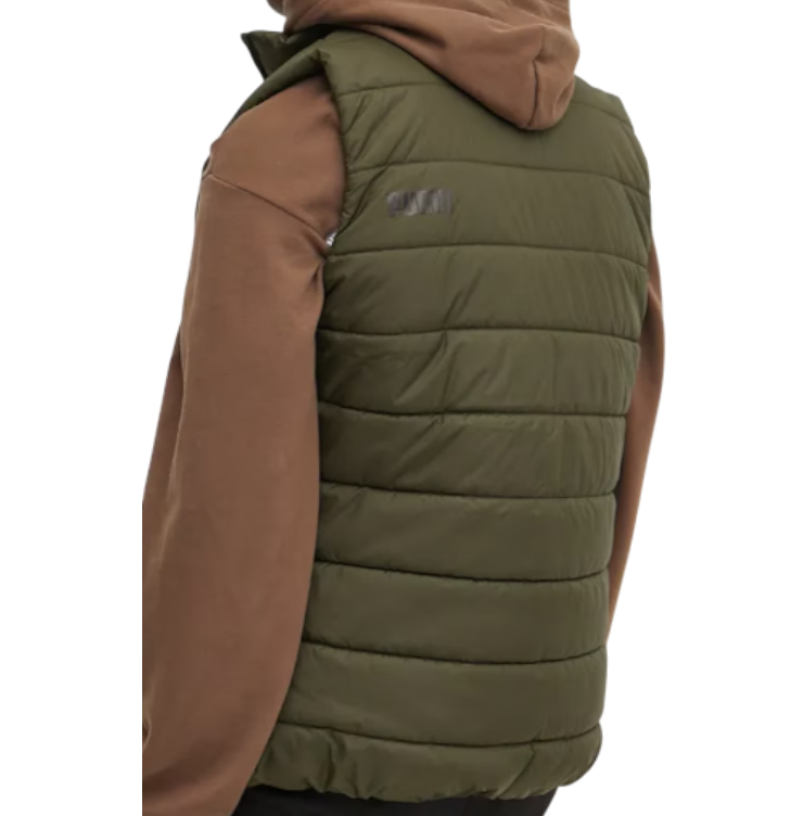 https://storage.alifshop.tj/media/images/alifshop/45901/zhilet-essentials-padded-vest-men-848939-s-zelenyy-1766036546245.png