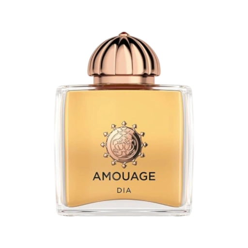 https://storage.alifshop.tj/media/images/alifshop/45923/duhi-amouage-dia-40-woman-100-ml-1766041867452-xl.webp