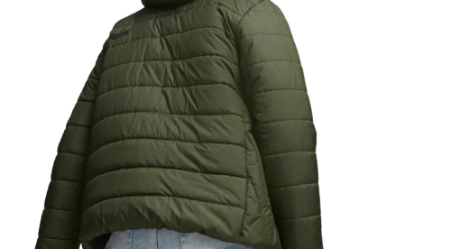 https://storage.alifshop.tj/media/images/alifshop/46516/kurtka-puma-puma-ess-hooded-padded-jacket-848938-m-haki-1766471670749.png