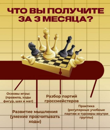 https://storage.alifshop.tj/media/images/alifshop/46632/kurs-osnovy-shahmat-i-strategiya-igry-1766638009952.png
