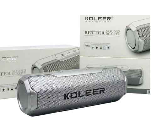 https://storage.alifshop.tj/media/images/alifshop/47288/besprovodnaya-kolonka-koleer-s218-serebristyy-1767938300387.png