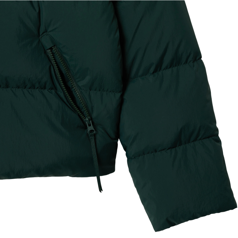 https://storage.alifshop.tj/media/images/alifshop/47474/puhovik-lacoste-relaxed-fit-hooded-down-jacket-bf3262-xs-zelenyy-1768155279224.png